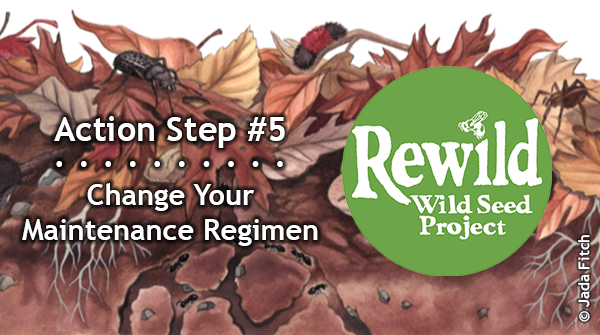 Rewilding Action Step #5: Mowing, blowing, &amp; raking harms pollinators &amp; birds — leave the leaves, stems, &amp; sticks to protect &amp; nourish wildlife year-round.

Pledge to Rewild (bit.ly/pledge-to-rewi…) and get free info and resources. #PledgeToRewild10ActionSteps #PledgeToRewild