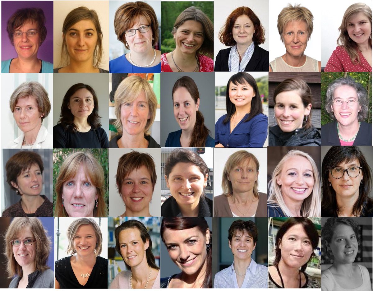 Happy International Women's Day to all ♀️Principal Investigators of the Leuven Brain Institute.

#InternationalWomensDay  #InternationalWomensDay2021 
#WomensDay  

#NeuroscienceInLeuven
#WomenInNeuroscience