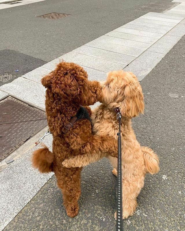 they're dating