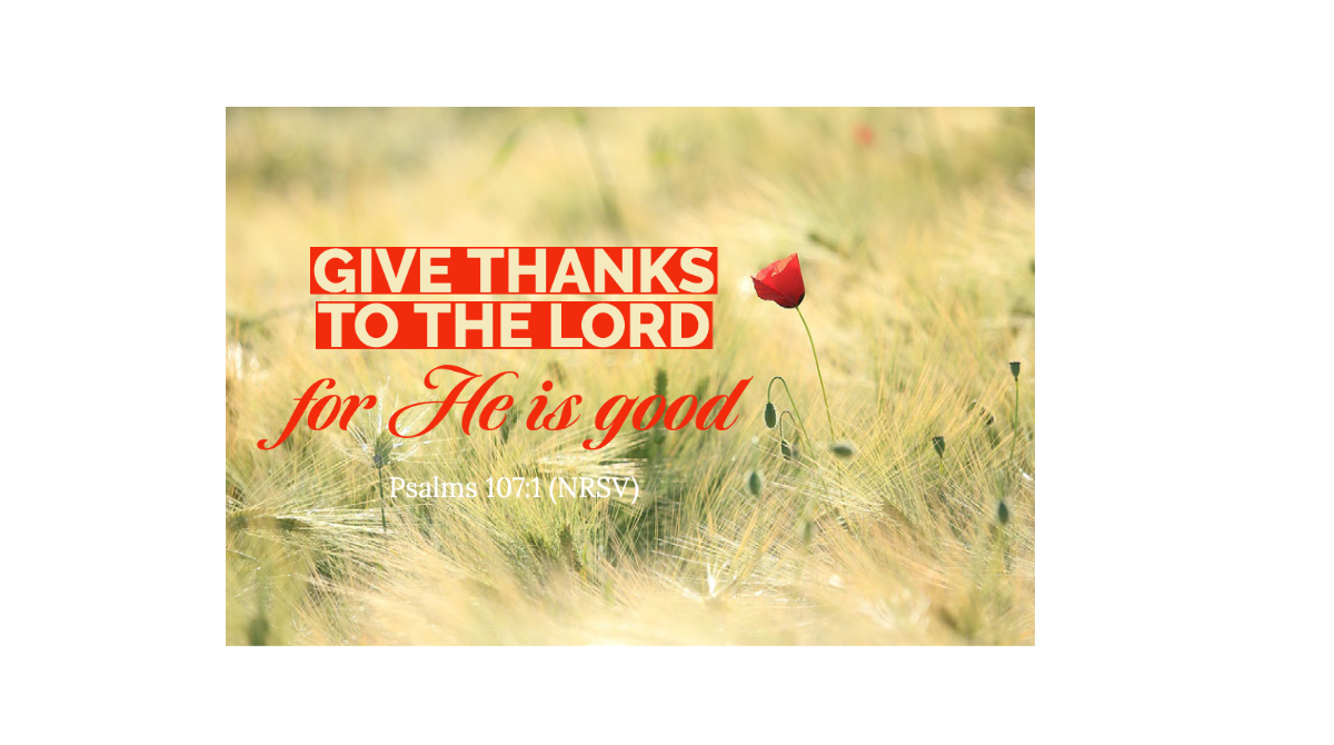 UMC_GCFA's tweet photo. God, we thank you for Your goodness.
#motivationalmonday #umcsupport #umc #gcfa https://t.co/GQu4WrExkb