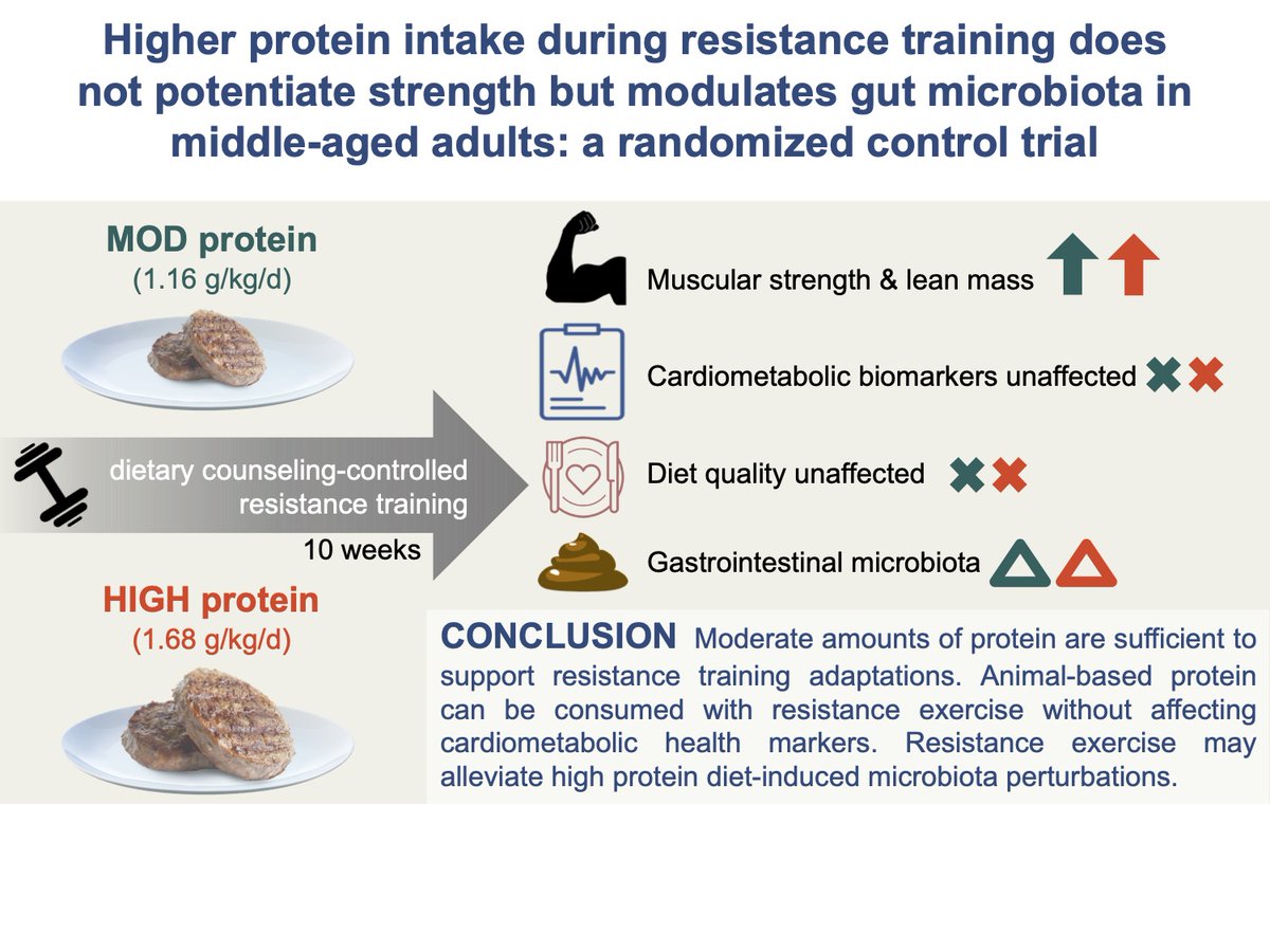 AJPEndoMetab's tweet photo. In press: Higher protein intake during #resistancetraining does not potentiate strength, but modulates #gutmicrobiota in middle-aged adults: a randomized controlled trial: 

https://t.co/0pI67wFWmJ

#RCT #hypertrophy #insulinresistance @Illinois_Alma @uOttawa @APSPublications https://t.co/qG2A3Ly5Bz