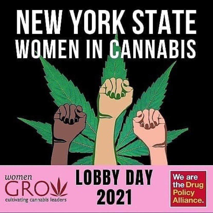 highaspora's tweet image. New York State Women in Cannabis Lobby Day 🌱🗳✅ Repost from @womengrow:
Join us Monday, March 8th at 11am EST. You still have time to register. Go to the link in our bio and sign up right now. @drugpolicyalliance 
NYS Women in Cannabis Lobby Day
#NYSWomen4MRTA 
#WomeninCannabis