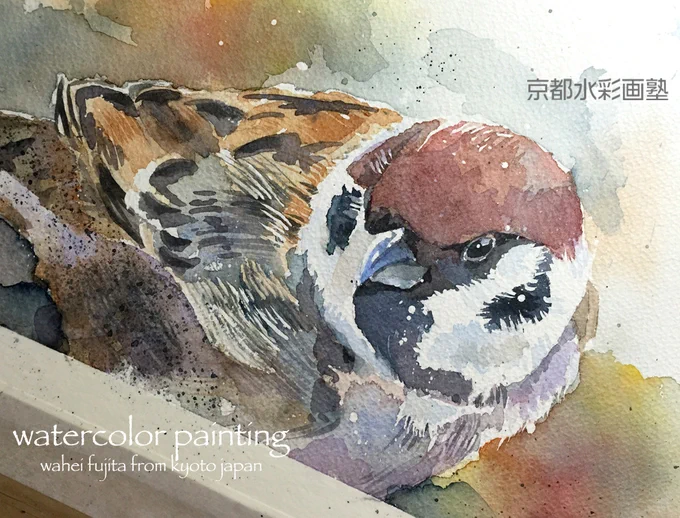 教室にいるスズメ。みなさんお休みなさい^ ^#Watercolor #スケッチ #水彩画 #淡彩略画 #動物画 #風景画 #透明水彩 #京都水彩画塾  #水彩画ワークショップ  #水彩画教室  #京都の絵画教室 