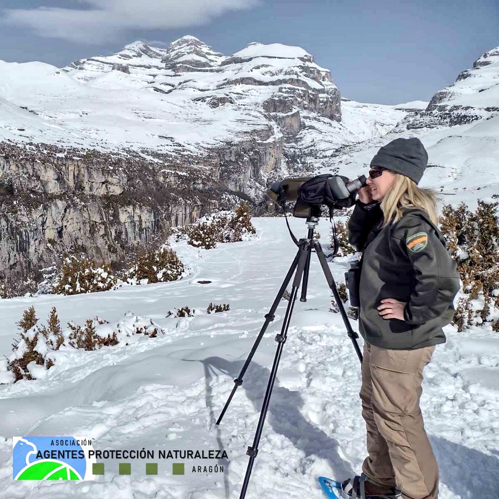 aaffaragon's tweet photo. Feliz #DíaDeLaMujer,en especial a nuestras compañeras #AgentesProtecciónNaturaleza #APN del @GobAragon, y al resto de compañeras de los Cuerpos de #AgentesMedioambientales.
💪🏻👮🏻‍♀️🌲🦅🐺🐳🦉
#DíaInternacionalDeLaMujer
#WomensDay
#IWD2021
#8M2021
#8Marzo

#AAMM
#PolicíaMedioambiental https://t.co/XSigAT4LT9