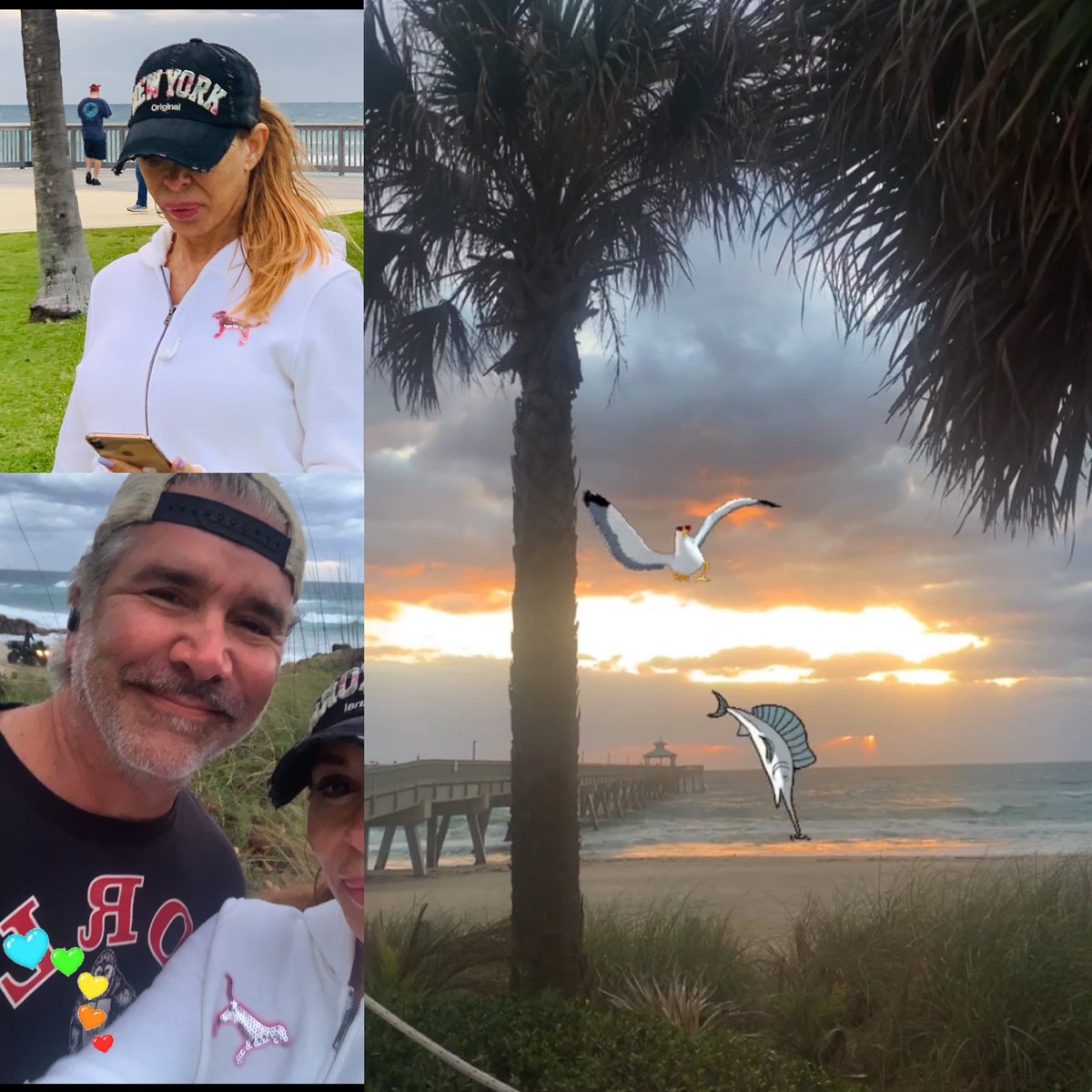 jerseytoboca's tweet photo. Beautiful morning walk🌴💋😘 https://t.co/TdxCz4JmoS