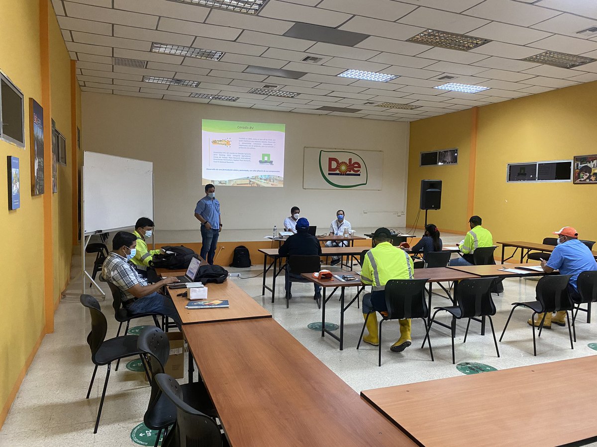 agronpaxi's tweet photo. Capacitación a DOLE zona Guayas.

Top Cop y MusaCare han sido los mejores aliados de nuestros clientes al momento de proteger sus cultivos ante ataques de Sigatoka. 

Protege tu cultivo durante la temporada de lluvia

#Banano #Dole #Agricultura #Ecuador #Sigatoka https://t.co/FGyWnlhlD1