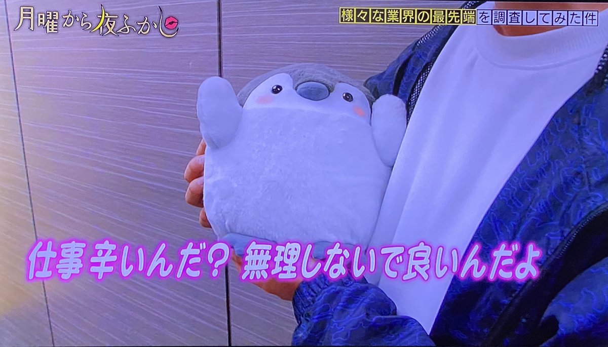 月曜から夜ふかしで コウペンちゃん が話題に トレンドアットtv