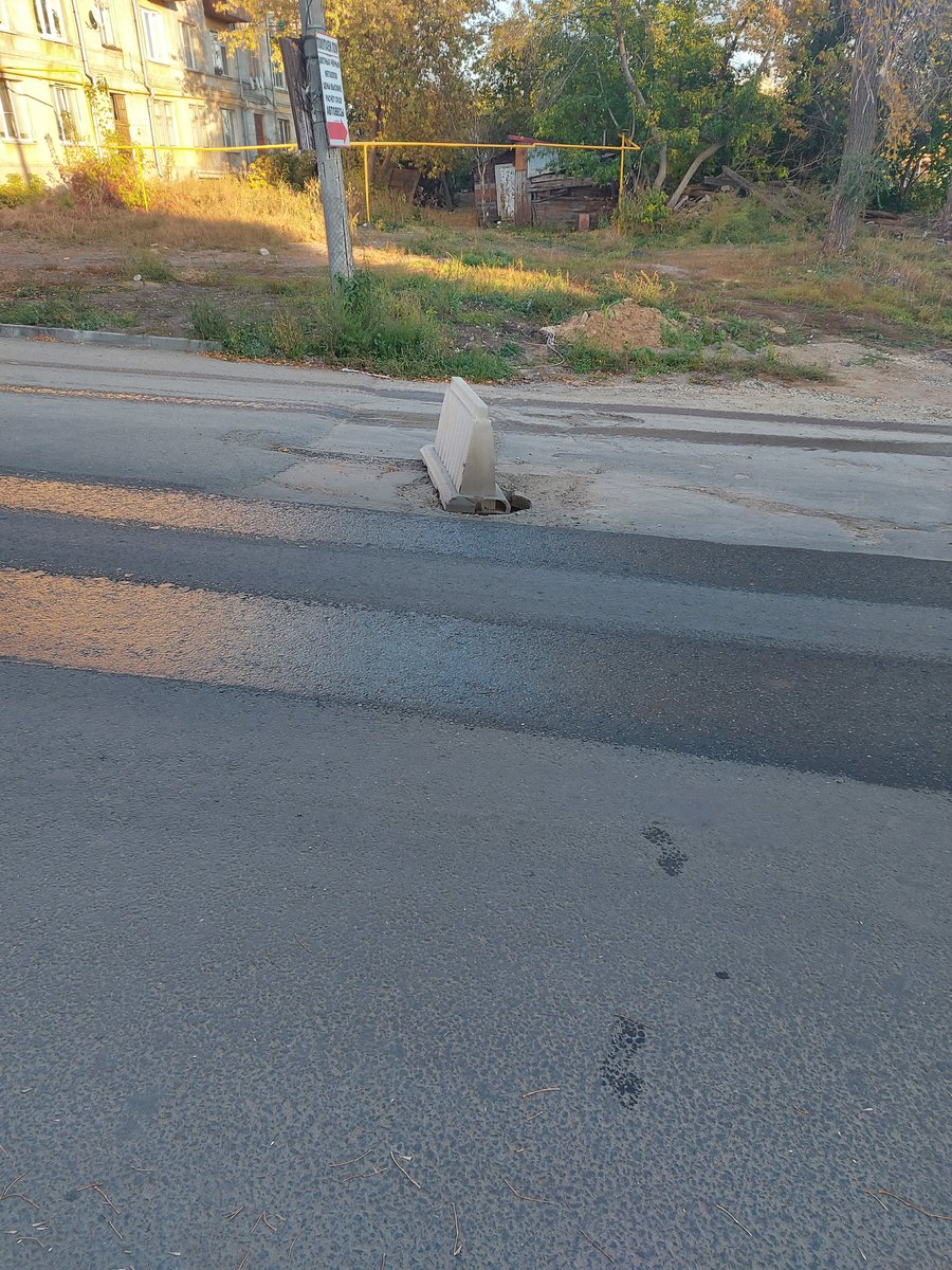 littNelli tweet media