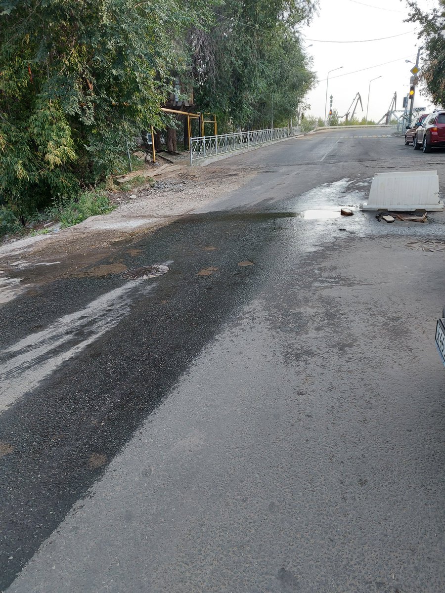 littNelli tweet media