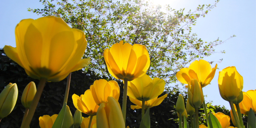 Nu ook online! STOWA ter Info 78 - mailchi.mp/stowa/stowa-te…