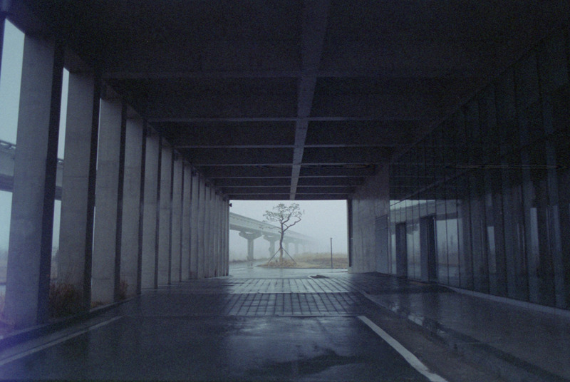archillect's tweet photo. https://t.co/JAxYX06Ft2
