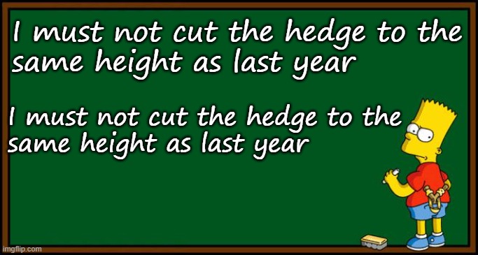 Well, cutting slightly higher and wider every time you cut is a great start. it may be just 10cm each time but it will make a difference. You will avoid structural damage, keep young wood so will always have flowers and fruit even on cutting years, &you get a thick dense hedge