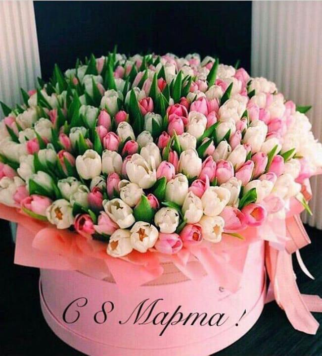 Дорогие женщины! Бабушки, мамы, жены, дочки, прекрасные хозяюшки, хранительницы очага и красота нашей жизни! Поздравляем вас с праздником, желаем тепла, любви, внимания и понимания. Лучший наряд женщины - это счастье )) Желаем носить его не снимая )))