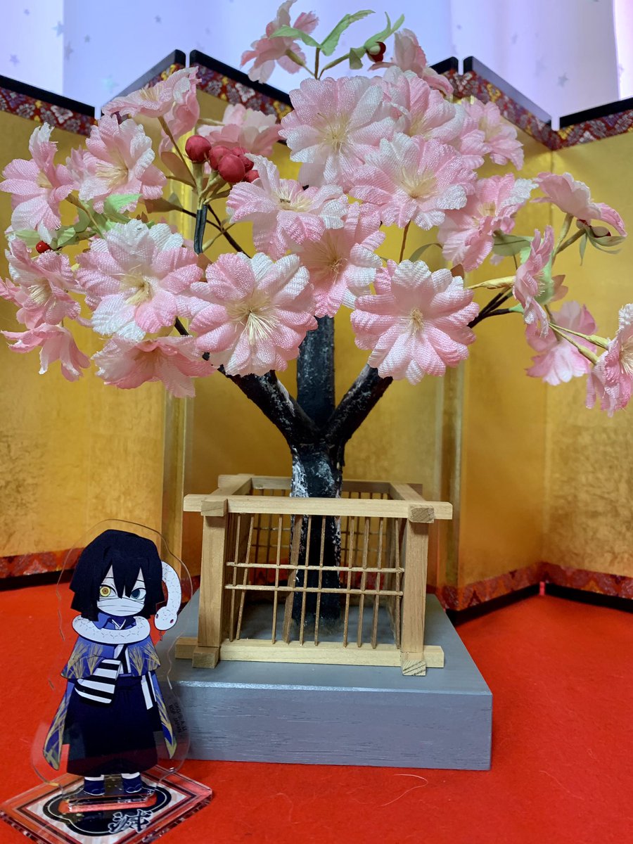 お雛様のお片付けついでにお花見をさせてみた🌸