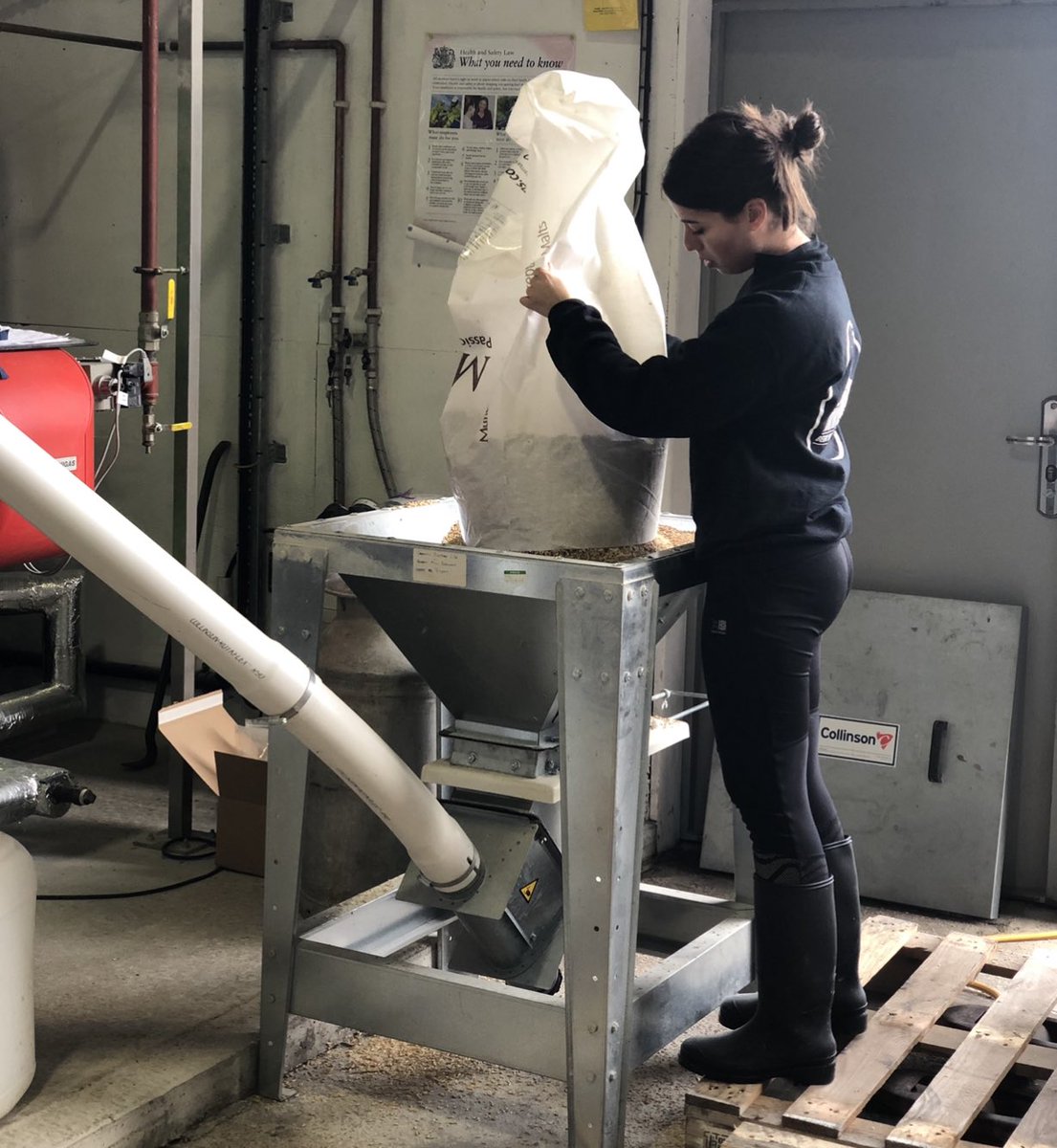 To all the women that seek to bring more perspectives, passion, talent and knowledge to brewing 

YES YOU CAN!

Here’s to supporting women to contribute to, and enrich and enhance beers wonderful flavours

#IWDCB