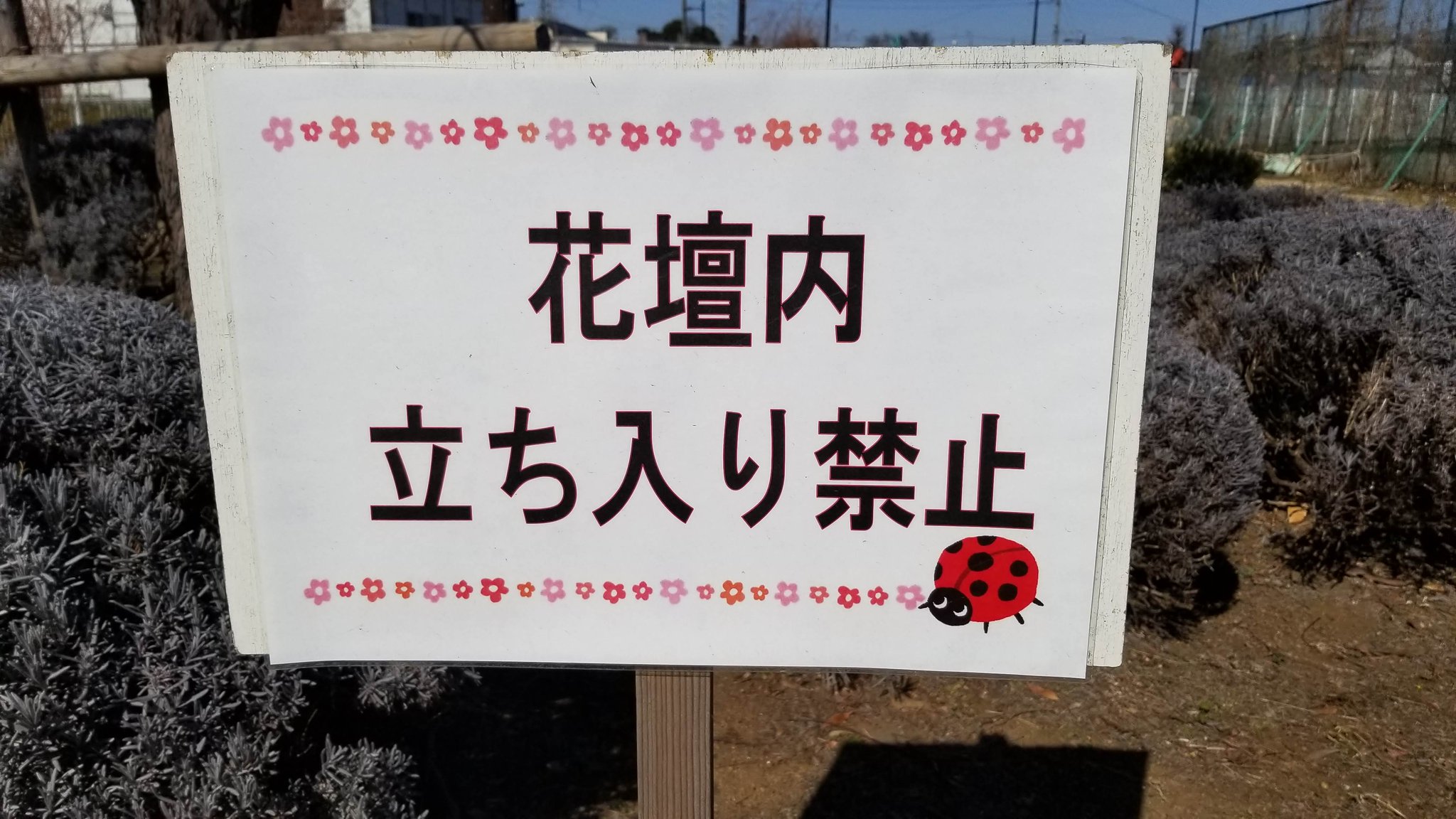 三浦靖雄 登録655号は三鷹市の花と緑の広場の 花壇内立ち入り禁止 のお願い 菜の花がたくさん咲いている綺麗な公園です 使用の てんとう虫 のイラストは12年の古い素材です かわいい いらすとや いらすとやマッピング いらすとやマップ 三浦靖雄 登録655号は三鷹市の花と緑の広場の 花壇内立ち入り禁止 のお願い 菜の花がたくさん咲いている綺麗な公園です 使用の てんとう虫 のイラストは12年の古い素材です かわいい いらすとや いらすとやマッピング いらすとやマップ