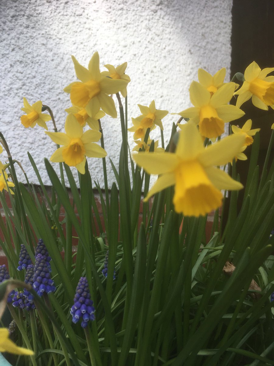 Happy #InternationalWomensDay to all the amazing women in #Somerset especially <a href="/Claire7Carter/">Claire Carter</a> and <a href="/Glastomichelle/">Michelle Cowbourne</a> who always brighten my day!