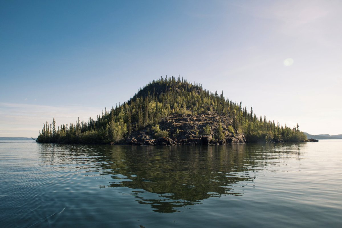 equatorinit's tweet image. 'We were always told by our elders, our parents, to watch over the land'

This #IWD2021 we celebrate Adeline Jonasson from the Łutsël K’e Dene First Nation community

By creating the Thaidene Nëné protected area, the conservation of their lands for future generations is ensured🌿
