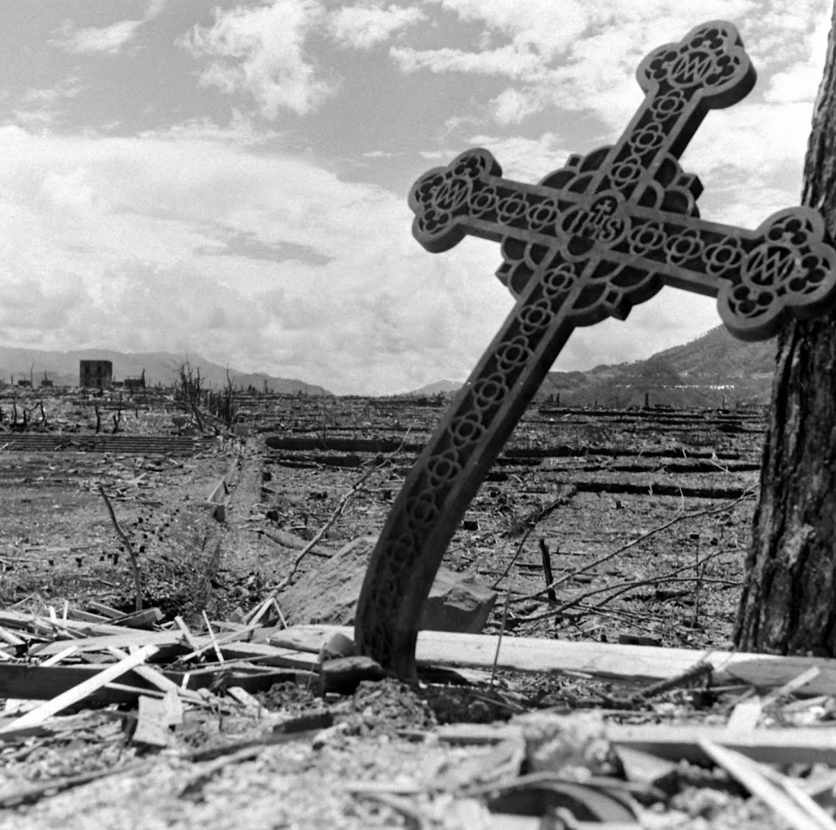 浪花慕情 tweet media