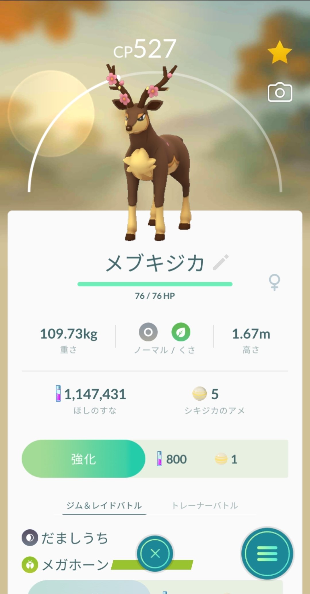 大澤真依 まいっちんぐ 秋に進化した メブキジカ のオスと 今日進化したメブキジカのメス ポケモンで四季を感じる31歳 春 ポケモンgo Pokemongo T Co Rsj2ee9ajl Twitter