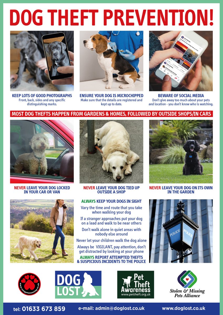 Advice for dog owners Never leave your dog unattended, think Would I leave my mobile here? The law views your loved furry family as though you can replace them like they are 'stuff' 
#pettheftawarenessday #PetTheft #PetTheftReform #pettheftaware #pettheftawareness