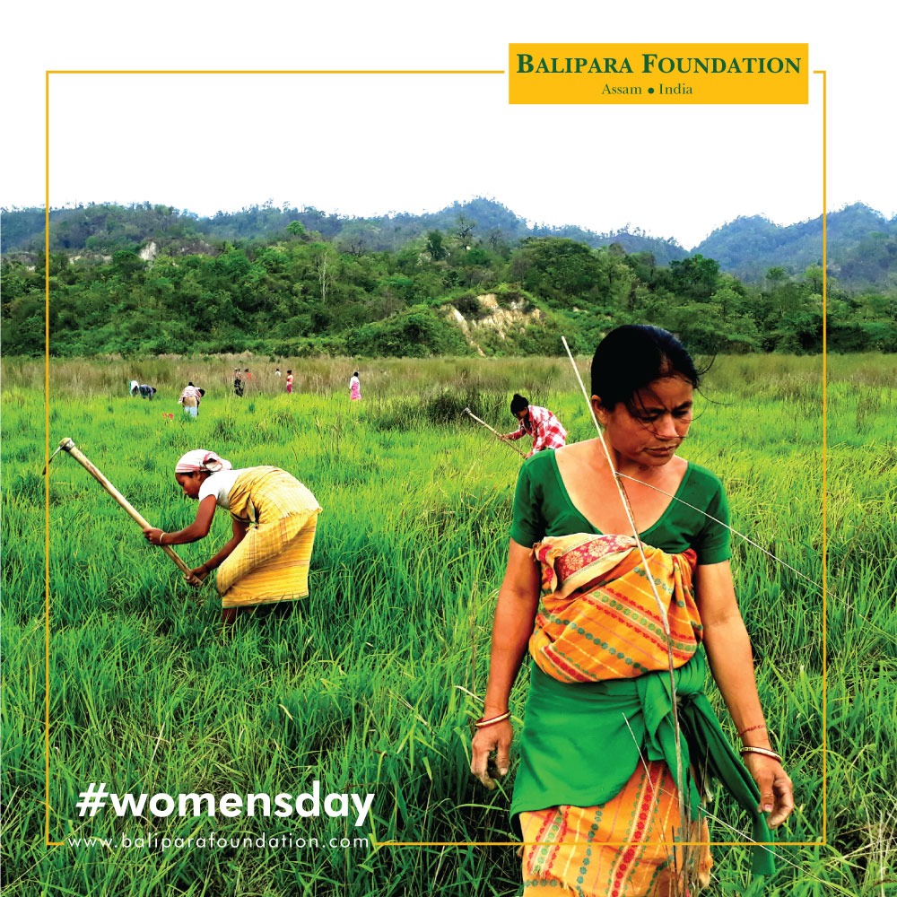 We salute our women in the forests, today and everyday. 

#womenforforests #forestsforall #interntionalwomensday2021 #womensupportingwomen #womensday #womenempowerment #EcologyIsEconomy #Naturenomics™ #ehnf #BaliparaFoundation #RuralFutures #sustainability