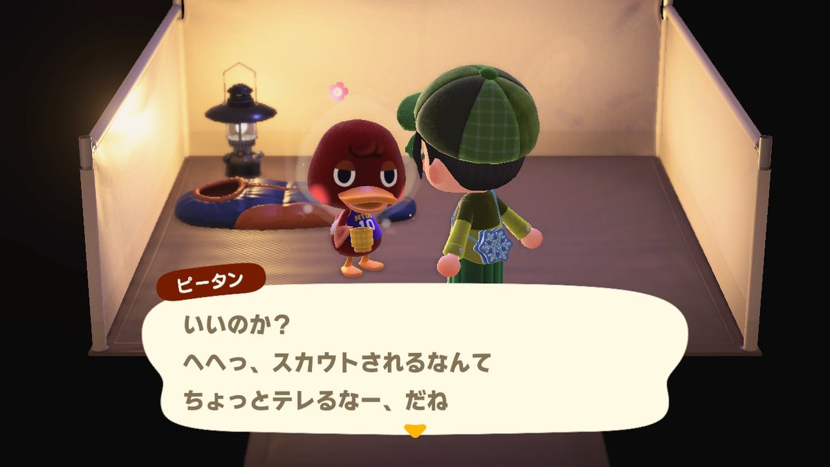 ペンギンになりたい はいばらノート 憧れのピータン ついにamiiboカードに手を出してしまいましたが さらに楽しい生活になりそうです イラスト Illustration あつ森 榛原イラスト 号