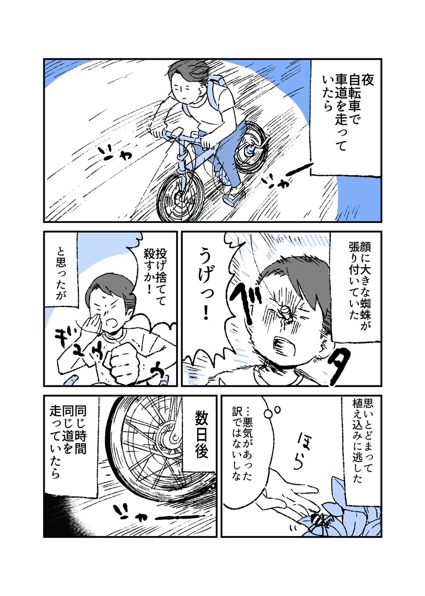 助けた蜘蛛に助けられたかもしれない話
#人から聞いた不思議な話を漫画にしてみた 