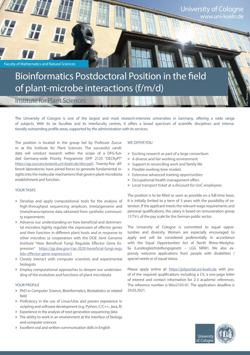 shingomiyauchi's tweet image. Do you want to work with us at University of Cologne in Germany? We are recruiting a bioinformatician in fungal genomics. A 3 year-post doc with possible extension.
