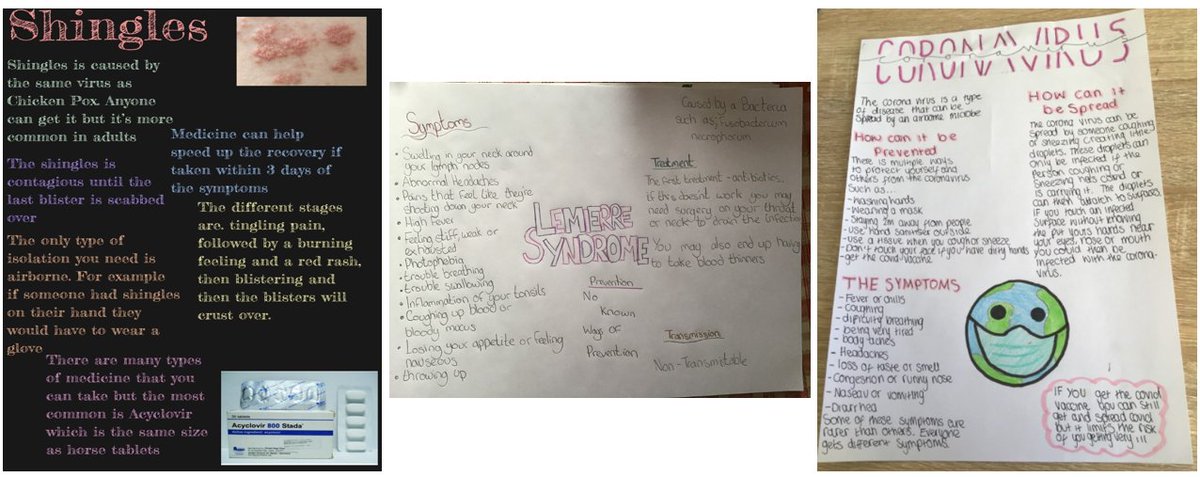 Sci_BHS's tweet image. S2 were tasked to expand their understanding of infectious  diseases by producing an informational poster on one of their own choosing🦠