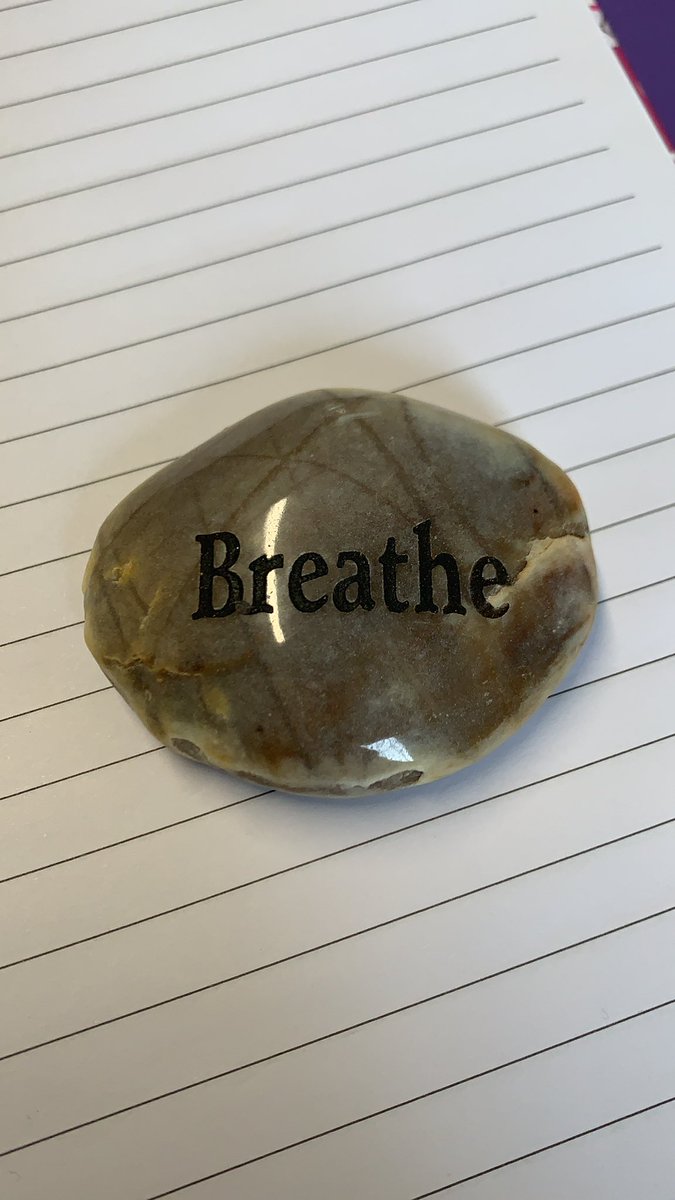 Lenham Primary School tweet media