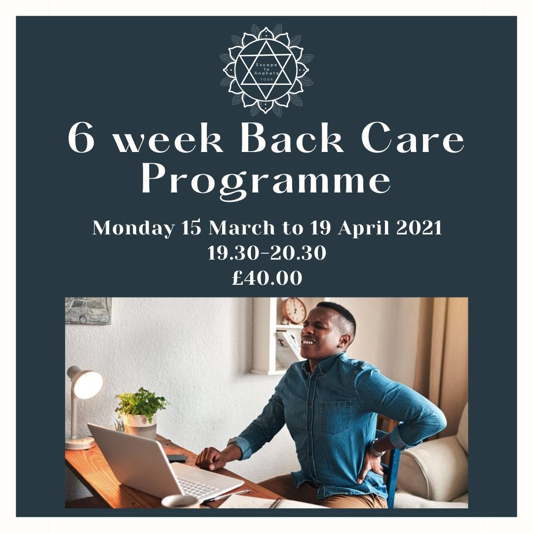 LisaLippett's tweet photo. How is your back holding up after months and months of home-working? I'm really pleased to offer my 6 week Yoga Back Care Programme to help ease away the pain and get you moving freely again. Get in touch for more information.   
#yoga #backpain #backcare #homeworking https://t.co/LQghX1LHhH