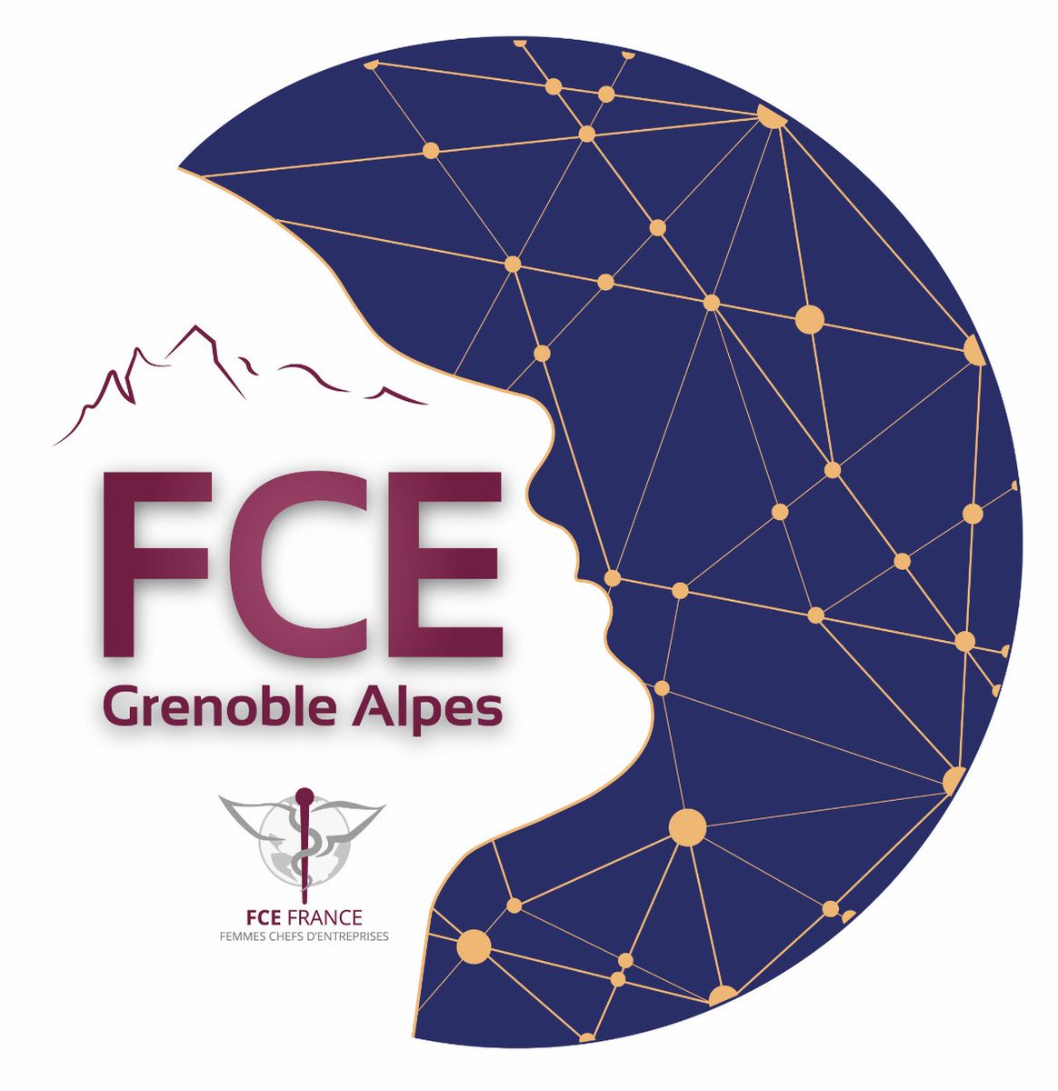 En cette journée du 8 mars, fière de faire partie de la grande famille des <a href="/FCEFrance/">FCE France</a> <a href="/FCE_Isere/">FCE ISERE</a>  

#femmeschefsdentreprise #entrepreunariat #grenoblealpes