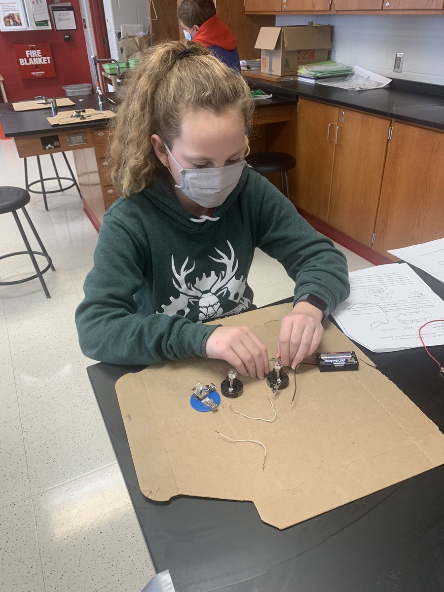 Bright ideas in science class!! 💡