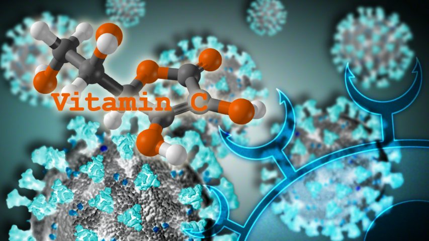 rathfoundation's tweet photo. Combining Vitamin C With Other Natural Compounds Impedes Key Mechanisms Of #Coronavirus #Infection: https://t.co/VexioVSy5Y #health #cellularhealth #cellularmedicine #vitaminC #naturalhealth #naturalcompound #education #drrath https://t.co/3MScaXtlg9
