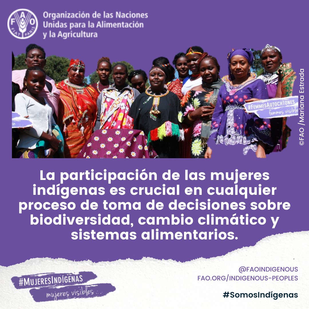 FAOIndigenous's tweet image. Feliz Día Internacional de la Mujer!

La discriminación contra las mujeres indígenas, tanto rurales como urbanas, crea múltiples barreras que les impiden participar en los procesos de toma de decisiones.

👉 bit.ly/3caVE4n

#IWD2020 #GenerationEquality