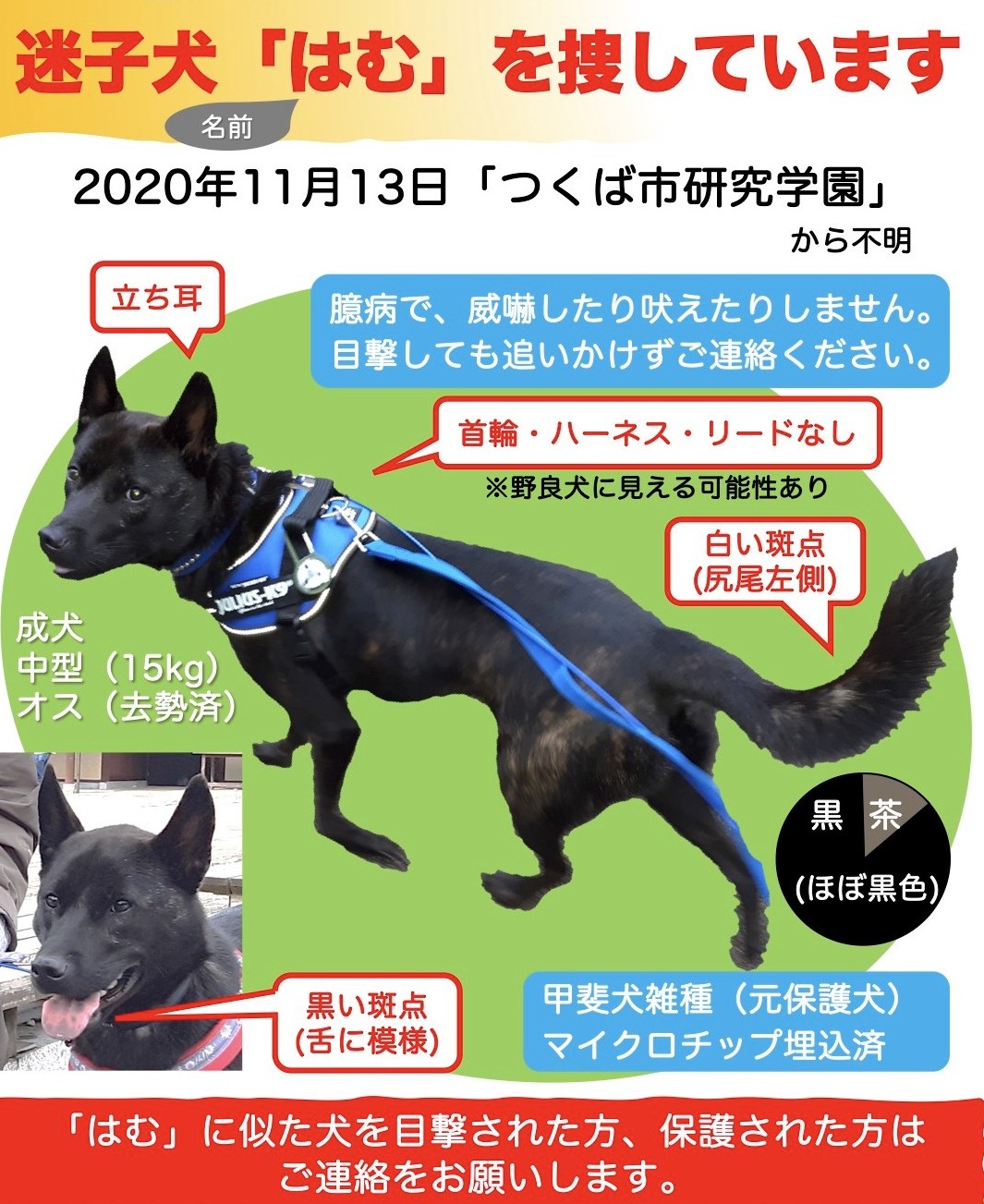 舌斑 Twitter Search Twitter