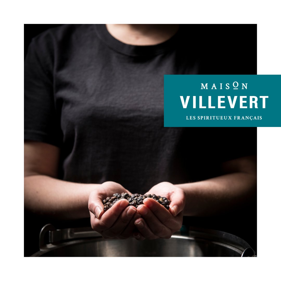 Every day and even more today : "International Women's Day", we are proud through our professions, of our combined know-how for women and men.
#maisonvillevert