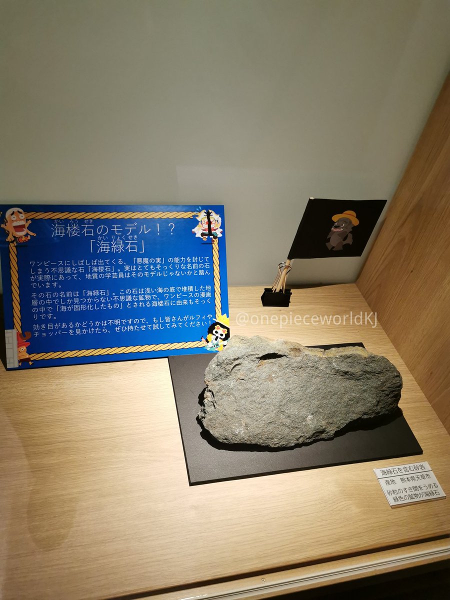 Hashtag 海楼石 Auf Twitter