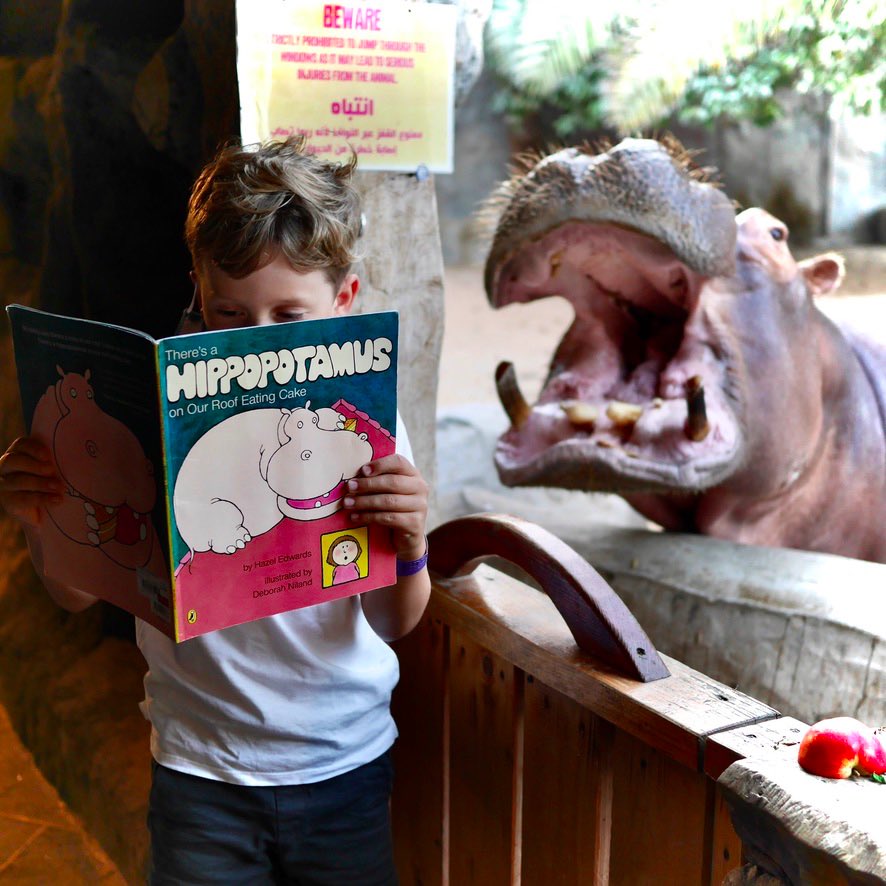 AmityADEYFS's tweet photo. As part of #WorldBookWeek @WorldBookDayUK children @AmityAbuDhabi were invited to take part in a photo competition; reading in different places around #AbuDhabi
⠀
Our #AmityADReception winner was
⭐️Walt ⭐️ 
for reading his hippopotamus book in @emiratesparkzoo next to a hippo! https://t.co/sRee424LCO