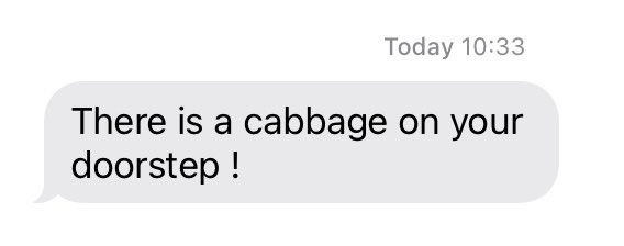 JudePo's tweet photo. Peak Dad text this morning #cabbage #dadtext https://t.co/P3VEaoRKPI
