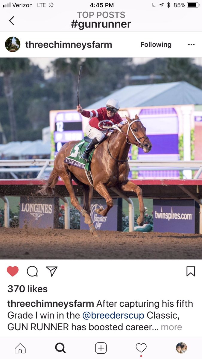 13thoroughbreds's tweet photo. Happy happy 8th birthday to Gun Runner! Iโve loved this horse since he was a baby. Will make sure heโs spoiled today (heโs spoiled every day). #gunrunner #threechimneysfarm #stallion #kentucky #ky4ky https://t.co/X4g2RyZkl0