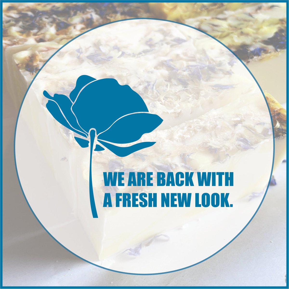 SoapTuula's tweet photo. We are back with our fresh new Brand identity, with our new website coming soon.

#soap #barofsoap #soapmanufacturer #solidsoap #redrand #newdesign #tuula #tuulasoap #creative #style #northwales #businessesinwales #supportlocal #brandlaunch #handmadesoap #coldprocessedsoap https://t.co/ug7AANT88X