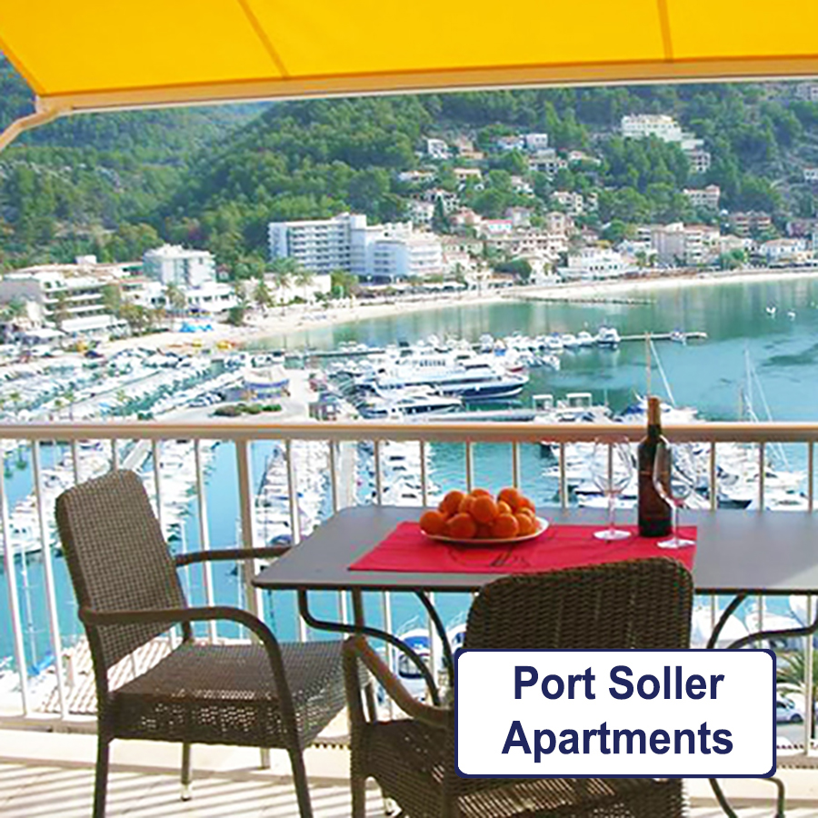 sollerweb's tweet image. Hotel Showcase... 1 a day... just above the Port... be at the heart of the summer scene 🍹

PORT SOLLER APARTMENTS - Two lovely apartments with stunning views over the whole of Soller bay

sollerweb.com/portsollerapar…
Reservations: judithking94@gmail.com

#soller #sóller #sollerweb