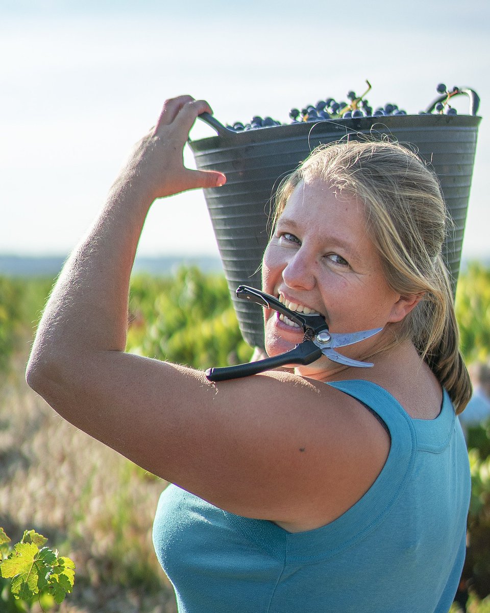 Eva es viticultora de Moradillo de Roa #RiberadelDuero. En última vendimia nos dijo: “En un mundo de hombres, las mujeres no es que quepamos, es que directamente nos salimos” 🙌💪🤘💜 Hoy brindamos por seguir construyendo entre todos un mundo más igualitario #8M