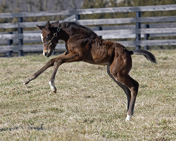 spendthriftfarm tweet picture