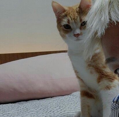 ZUHO AND HURU 🐈
#ZUHO #주호 #SF9 <a href="/SF9official/">SF9official</a>
