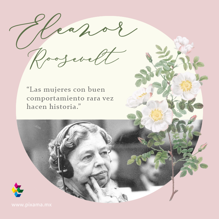 Pixamamx's tweet photo. Frases para conmemorar el #DíaInternacionaldelaMujer 🌹❣️ #diadelamujer #girlpower #feminismo #frasedeldia https://t.co/fHLOkCmijl