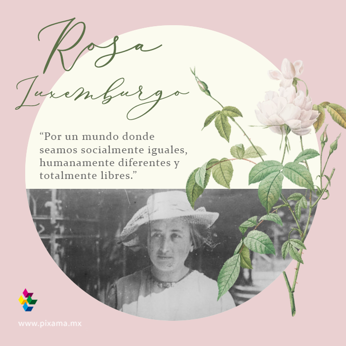 Pixamamx's tweet photo. Frases para conmemorar el #DíaInternacionaldelaMujer 🌹❣️ #diadelamujer #girlpower #feminismo #frasedeldia https://t.co/fHLOkCmijl