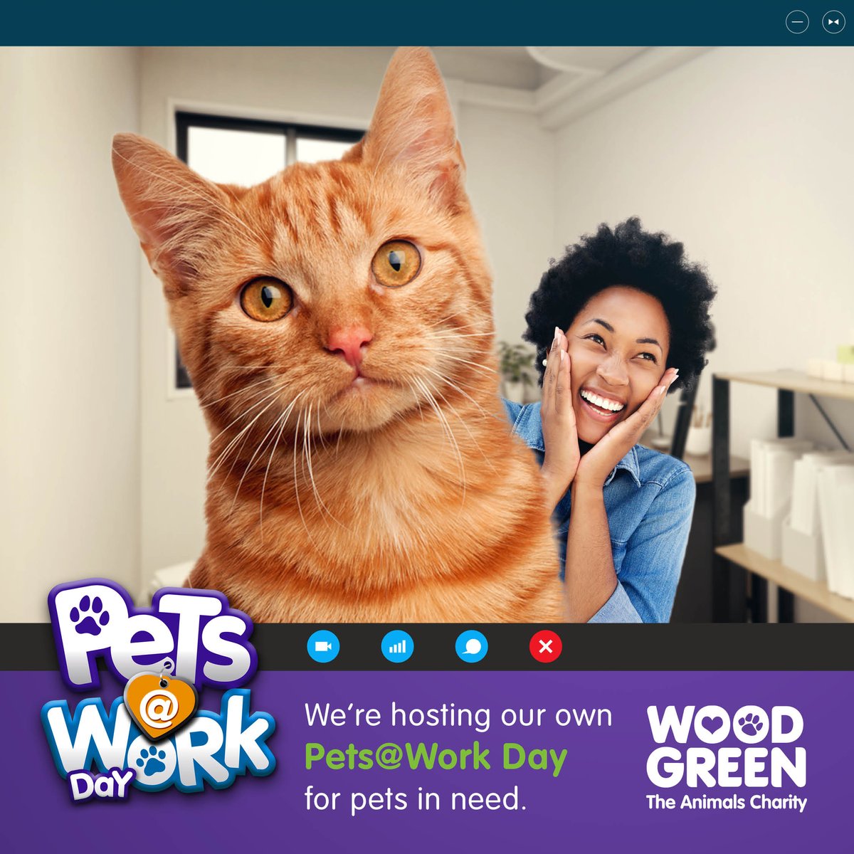 WoodgreenPets's tweet photo. Host your very own #PetsAtWorkDay for your pets, colleagues and their four-legged friends. Have the best day in with games and activities while raising vital funds for pets in need. Sign up today and start planning your event: https://t.co/gHk2yi7bPM https://t.co/1dF8Nt6jXj